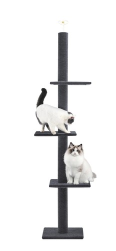 Cat craft tree floor - tree, to